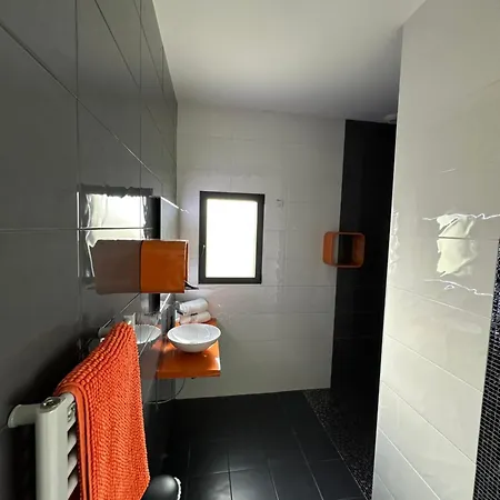 Emlavie - Maison Familiale Ou Loft - A 3km Futuroscope 度假居 沙斯讷伊迪普瓦图