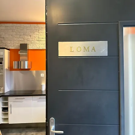 度假居 Emlavie - Maison Familiale Ou Loft - A 3km Futuroscope 沙斯讷伊迪普瓦图